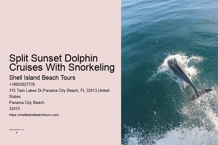 Dolphin Boat Tours Panama City Beach