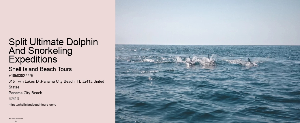 Split Snorkeling And Dolphin Sightseeing Expeditions