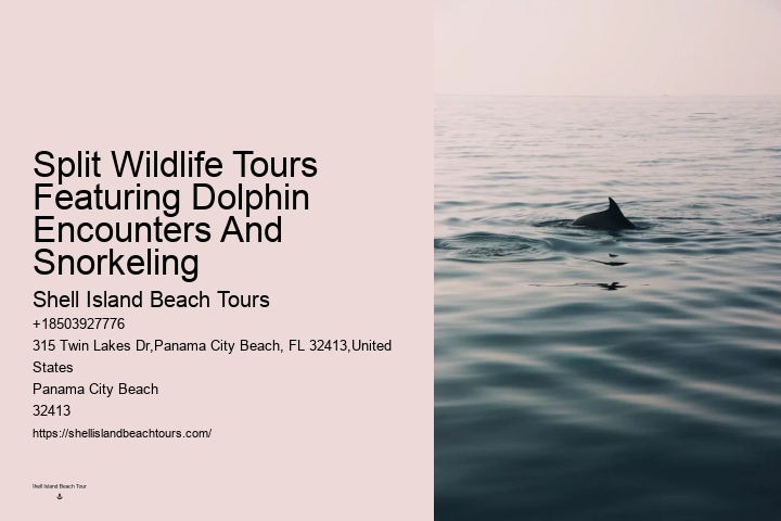 Salty Excursions