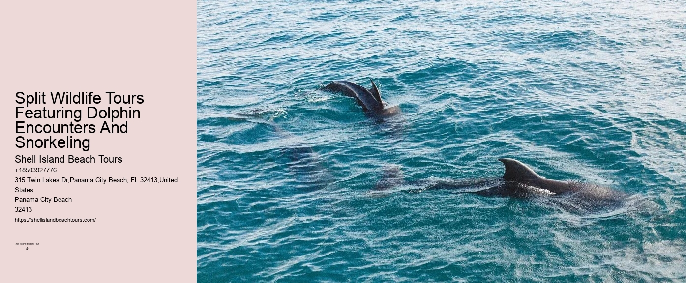 Can Dolphins Smell Fear