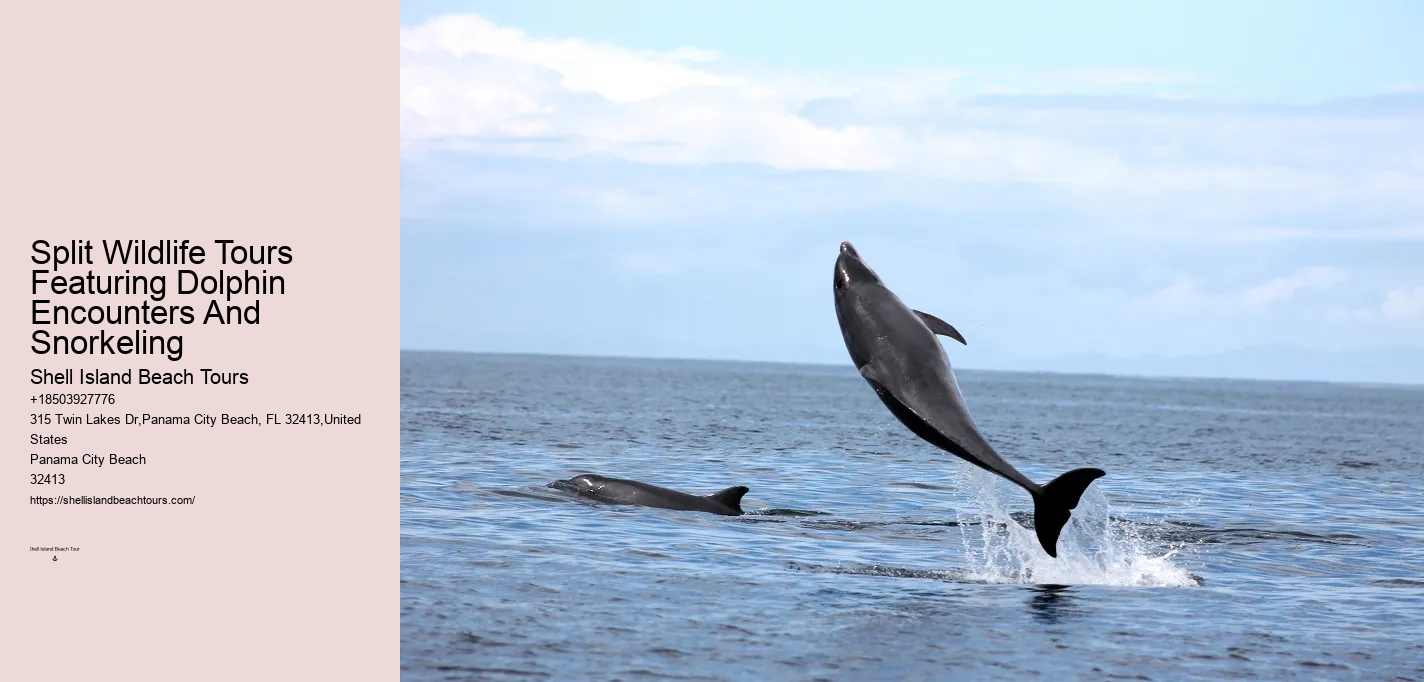 Do Male Dolphins Force Females To Mate