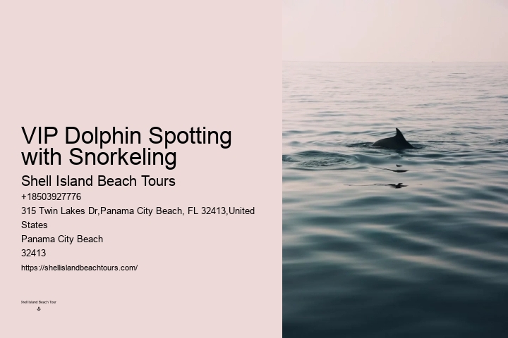Dolphin Swim