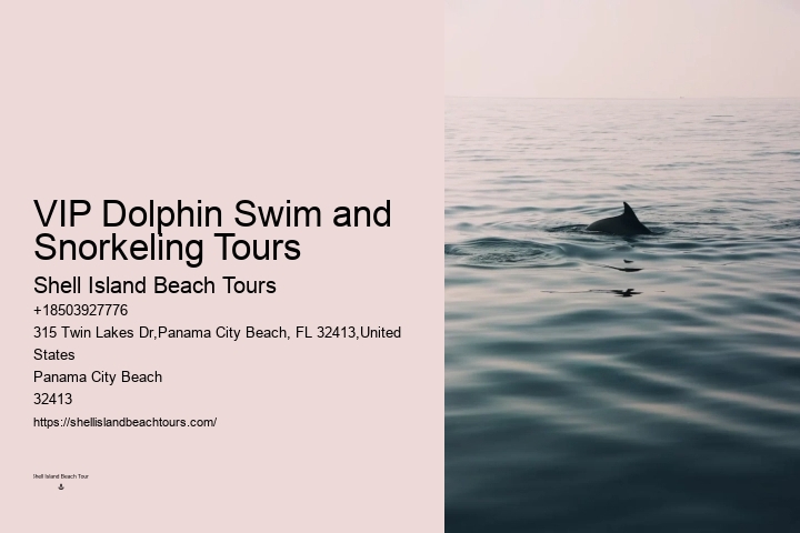 Panama City Beach Dolphin Swim Adventure